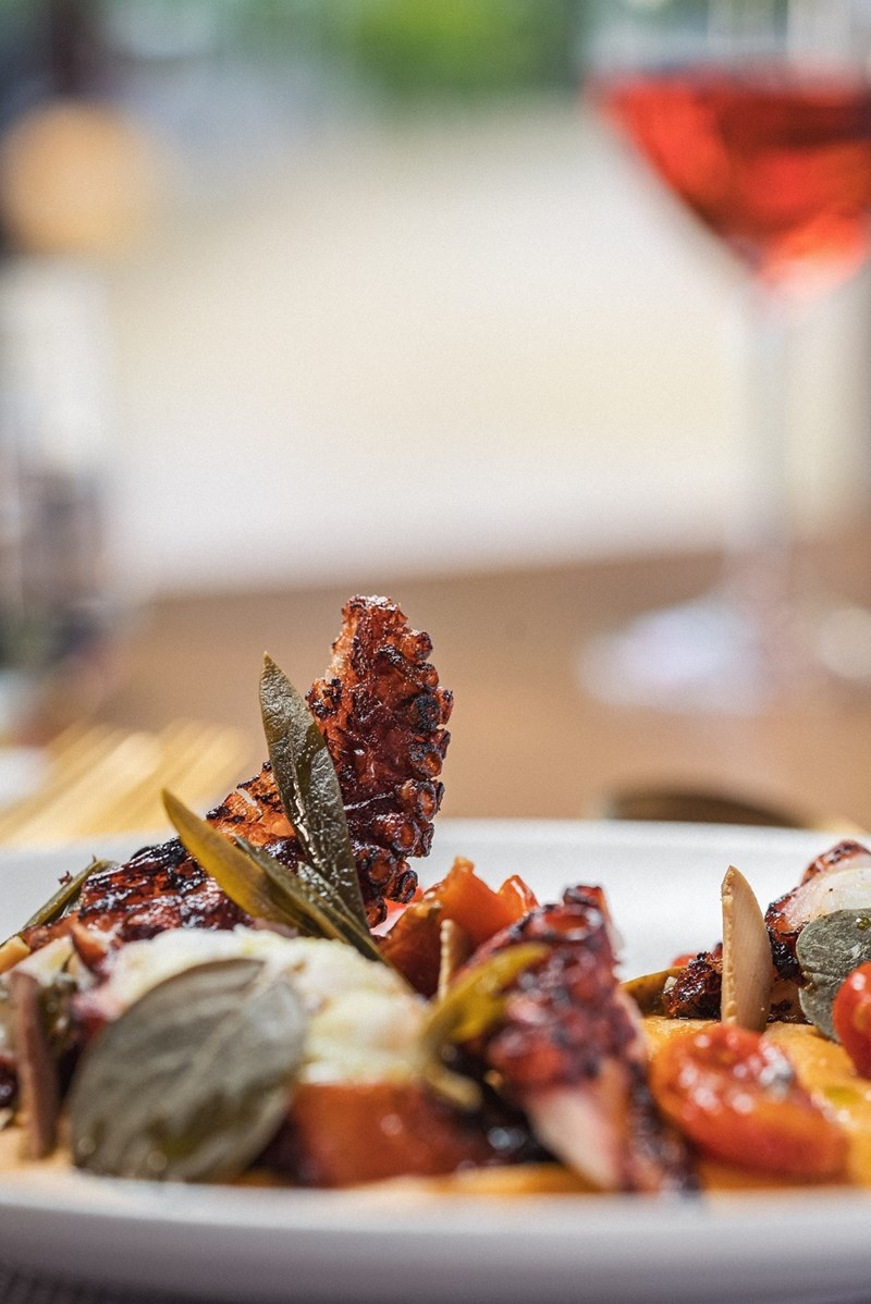 SAILINN ΛΕΥΚΑΔΑ 3