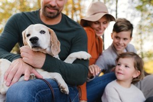 Ποια είναι η καλύτερη ώρα για να βγάλεις τον σκύλο σου βόλτα - εικόνα 1
