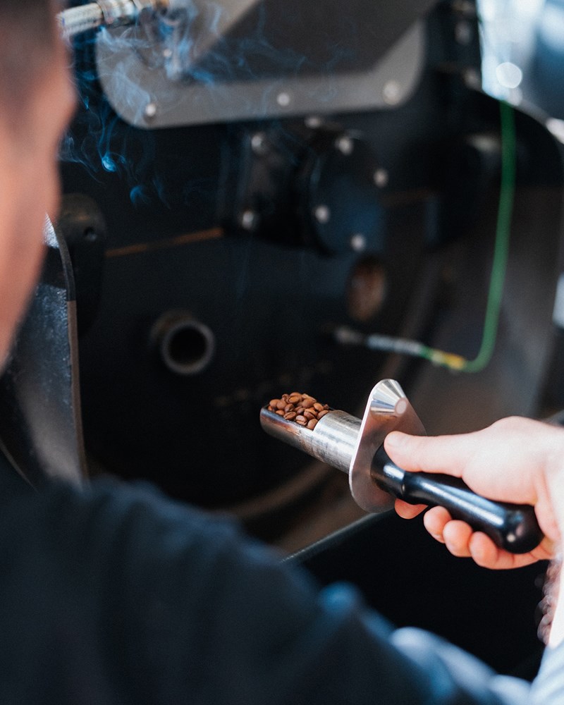 Γιάννης Ταλούμης Taf 11