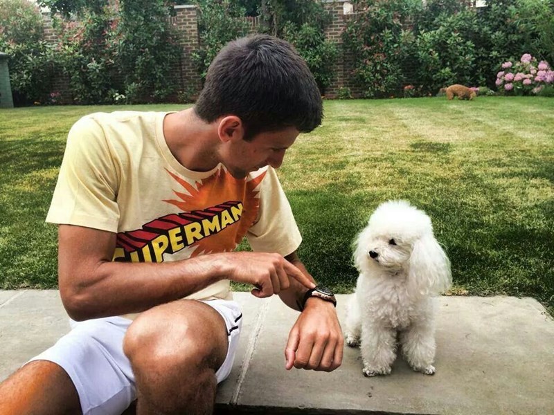 ΝΟΒΑΚ ΤΖΟΚΟΒΙΤΣ ΣΚΥΛΟΣ