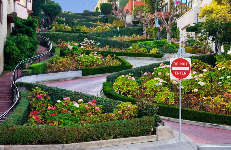 Σαν Φρανσίσκο Lombard Street 2