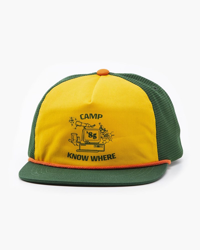 Levi's Stranger Things