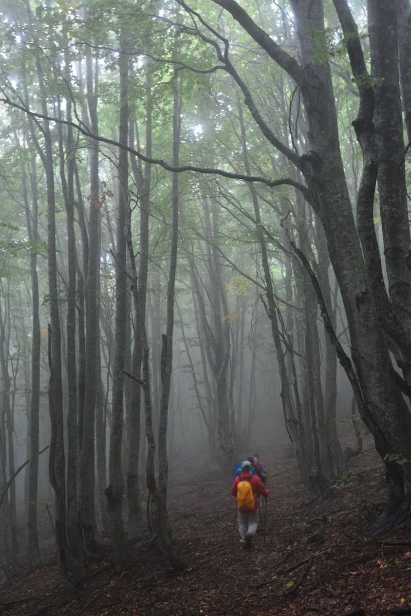 12 Months Resort & Spa