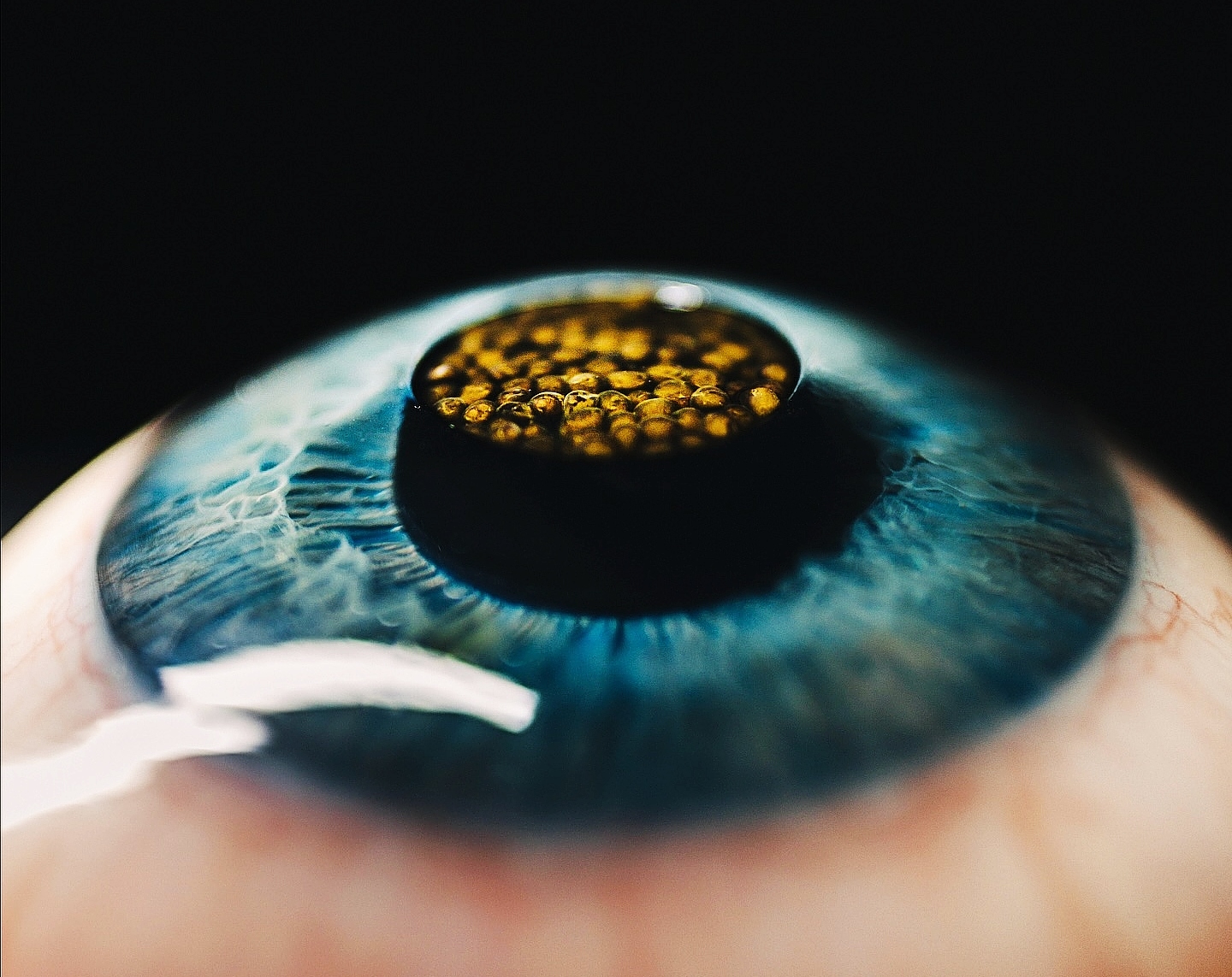 Ποιο είναι, αλήθεια, το αγαπημένο σου εστιατόριο στην Αθήνα; - εικόνα 6