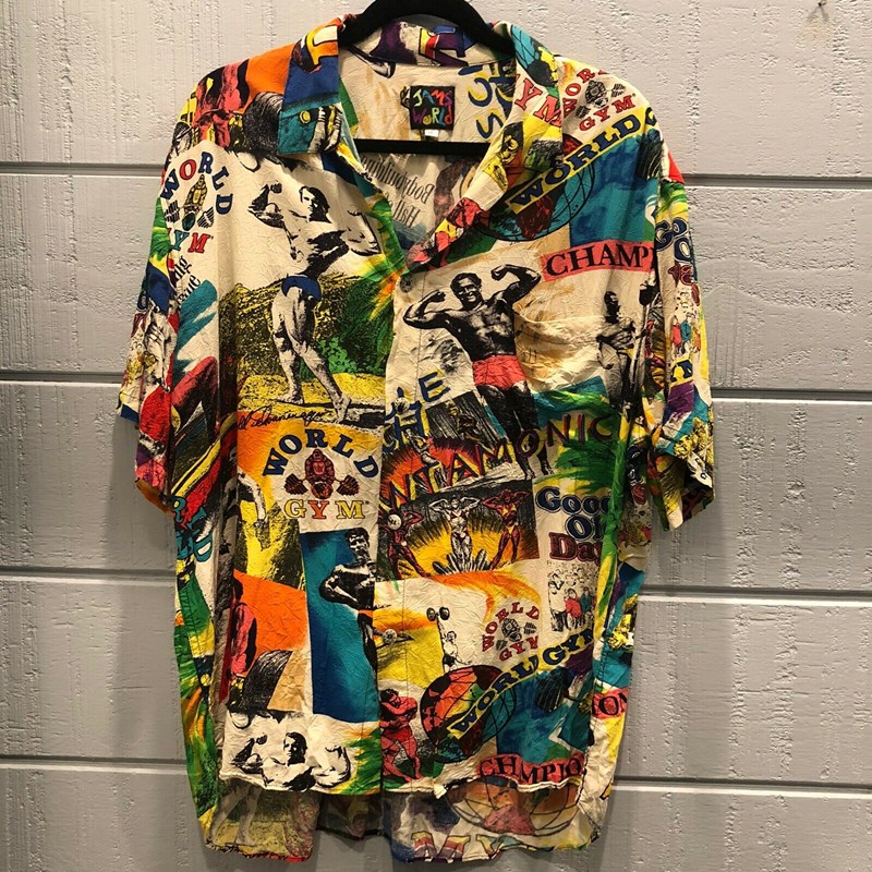 ΑΡΝΟΛΝΤ ΣΒΑΡΤΣΕΝΕΓΚΕΡ ΧΑΒΑΝΕΖΙΚΟ ΠΟΥΚΑΜΙΣΟ