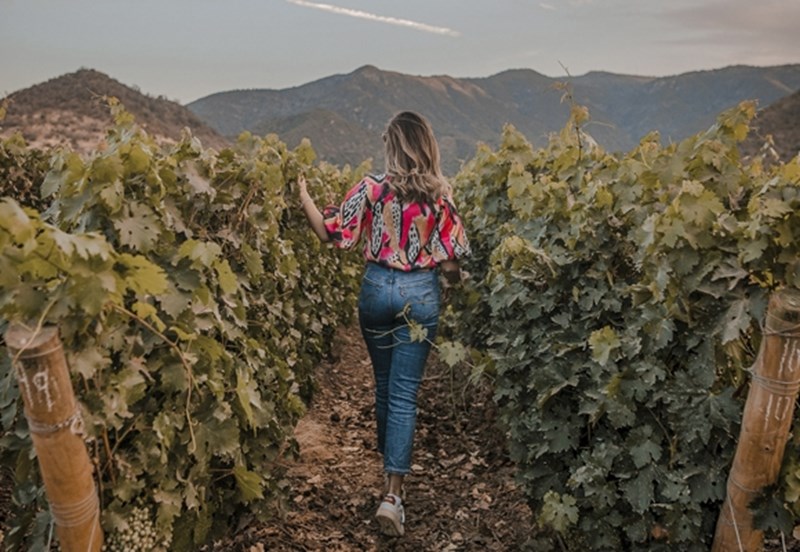 Το καλύτερο οινοποιείο του κόσμου, το Vik 1