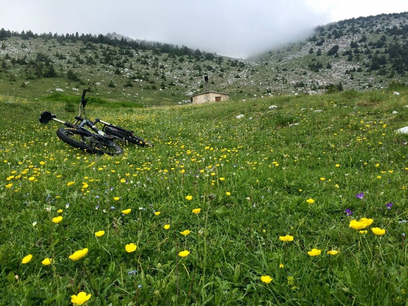 Malathro Olympus Guest House