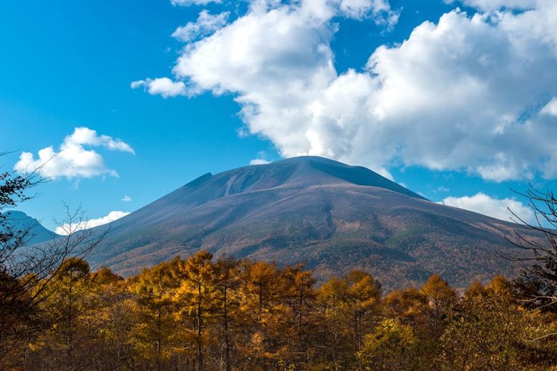 ΚΑΡΟΥΙΖΑΒΑ ΙΑΠΩΝΙΑ