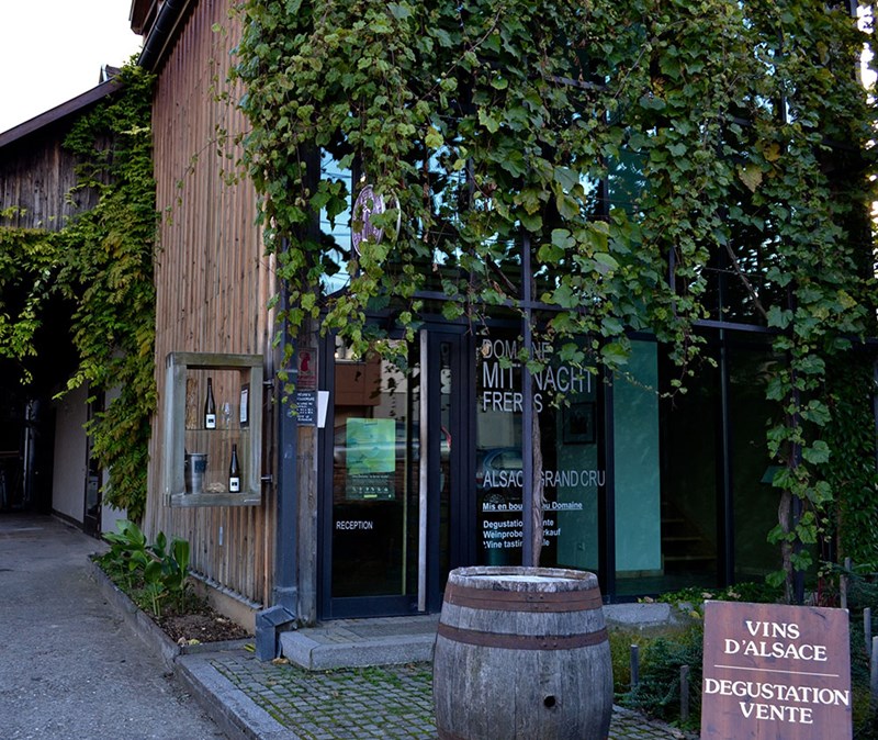 ΑΛΣΑΤΙΑ ΛΕΥΚΟ ΚΡΑΣΙ