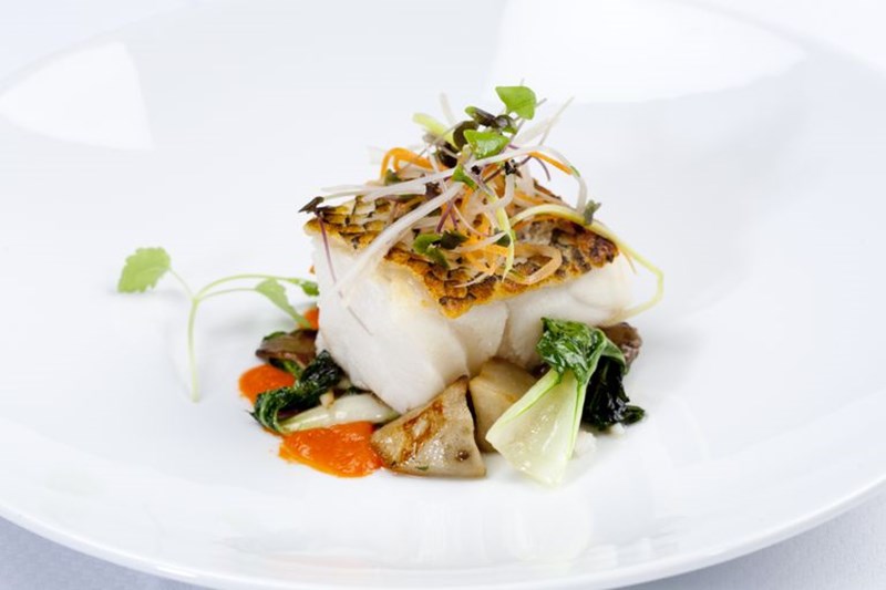 ΕΠΟΧΙΚΟΤΗΤΑ ΨΑΡΙΩΝ 2