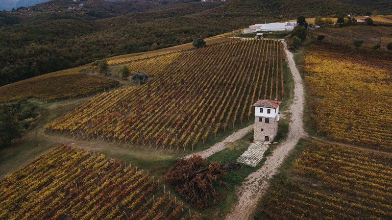 ΚΥΡ ΓΙΑΝΝΗ ΠΕΣΟΥΣΑ ΔΡΥΣ 1