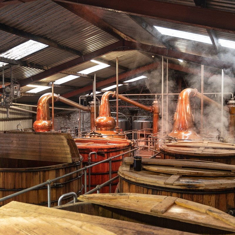 ΙΡΛΑΝΔΙΚΟ ΟΥΙΣΚΙ DINGLE 2