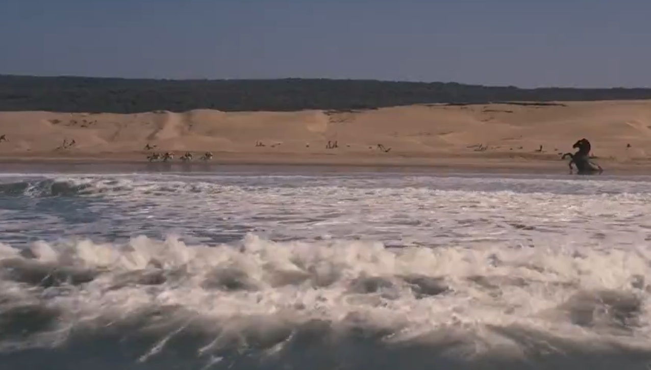 Imax εισιτήρια για την Οδύσσεια του Nolan, έναν χρόνο πριν την πρεμιέρα γίνονται sold out σε λίγες ώρες - εικόνα 1