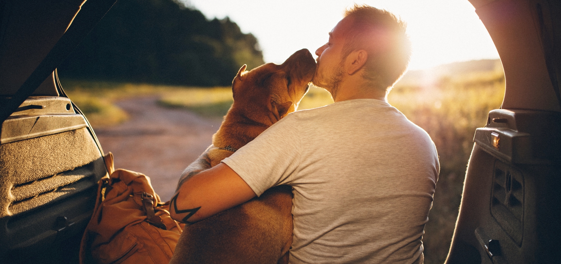 Κι αν το μυστικό της μακροζωίας βρίσκεται στην πρωτεΐνη; - εικόνα 1