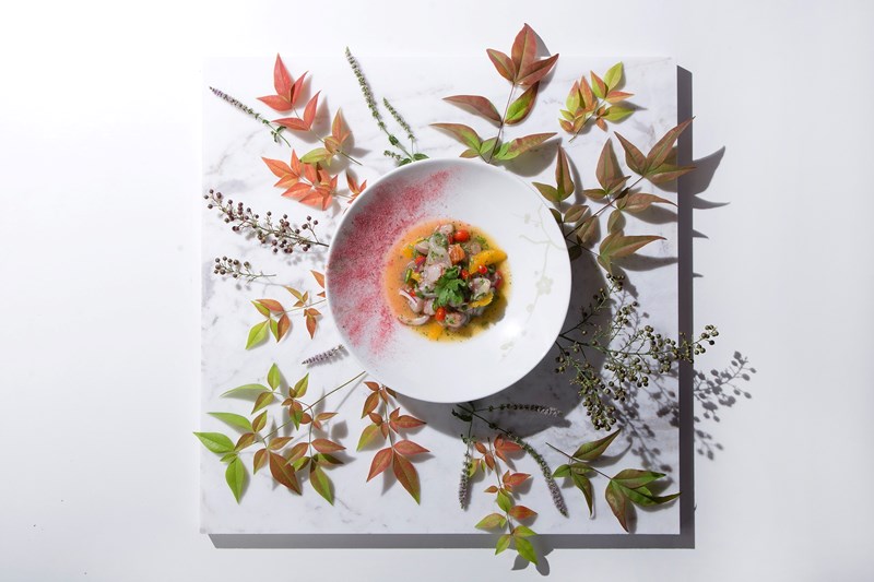 ΜΑΤΣΟΥΧΙΣΑ 3