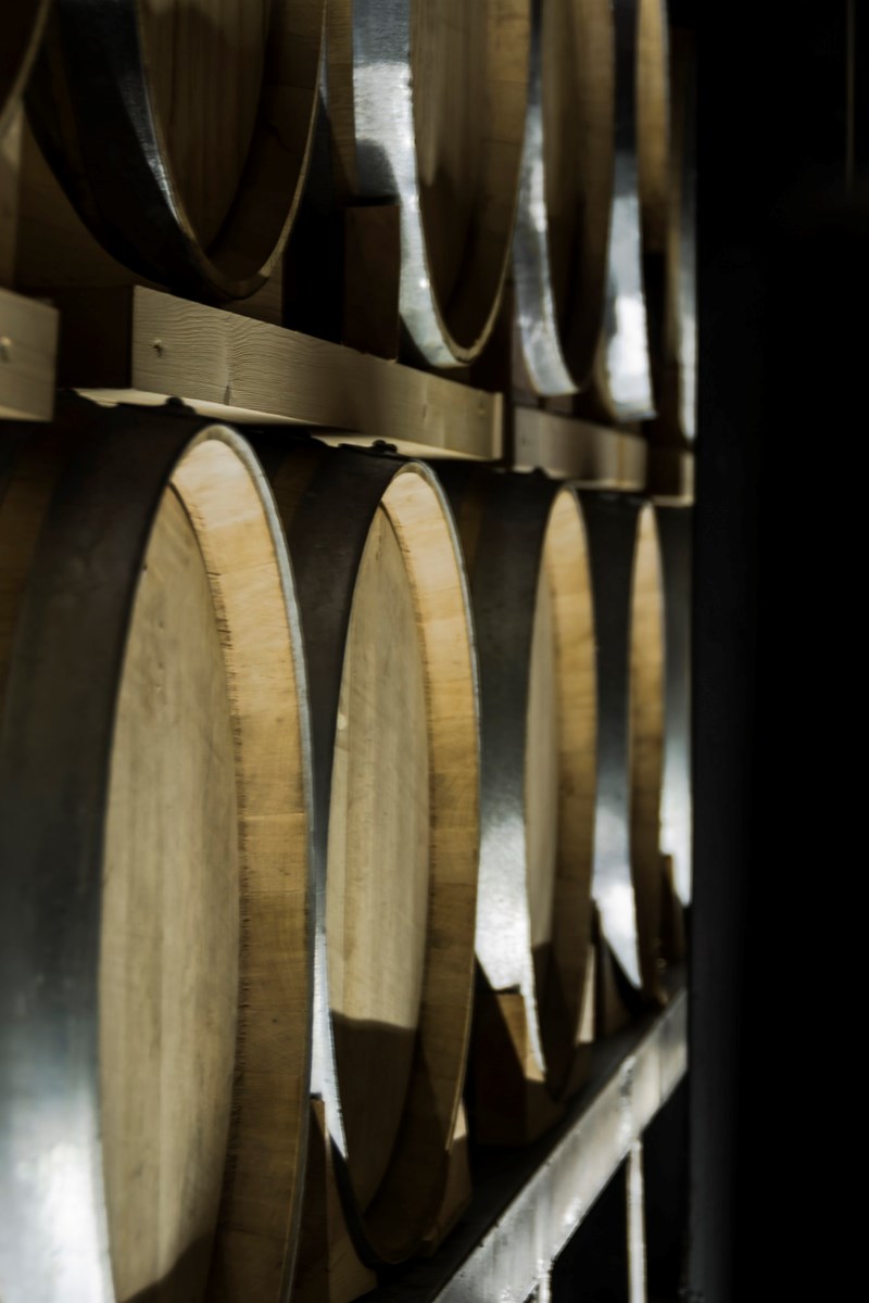 ΠΟΤΟΠΟΙΙΑ ΚΑΛΛΙΚΟΥΝΗΣ 10