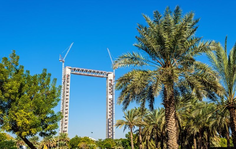 ΝΤΟΥΜΠΑΙ ΦΡΕΙΜ