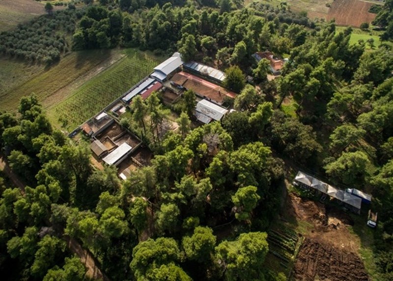 Ευβιότοποι