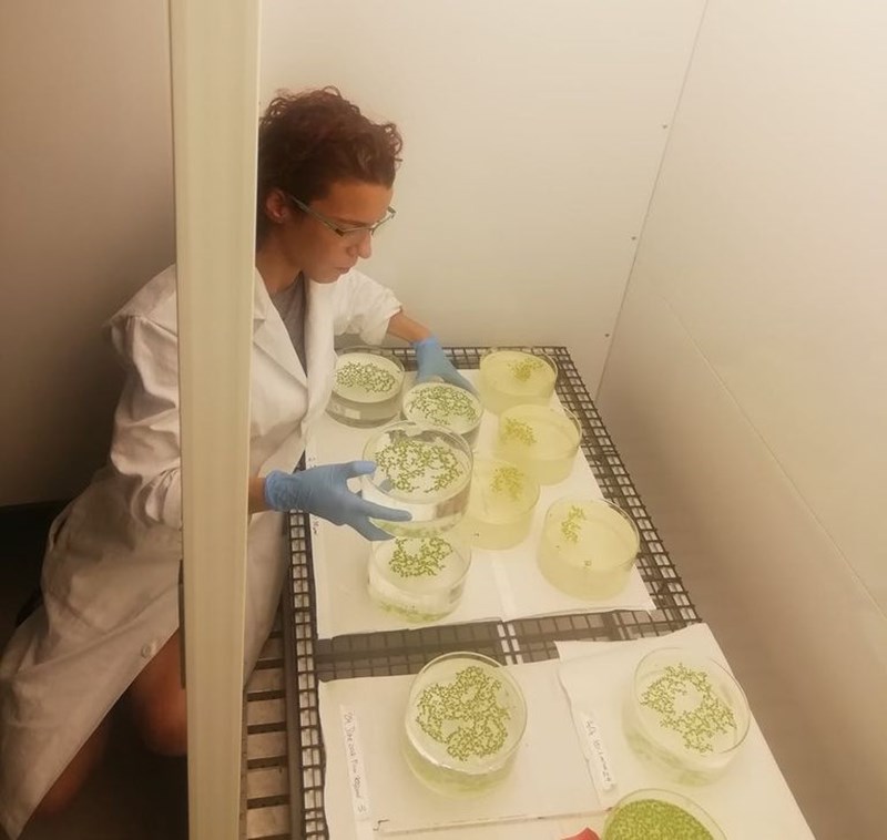 ΦΑΓΗΤΟ ΓΙΑ ΑΣΤΡΟΝΑΥΤΕΣ 3