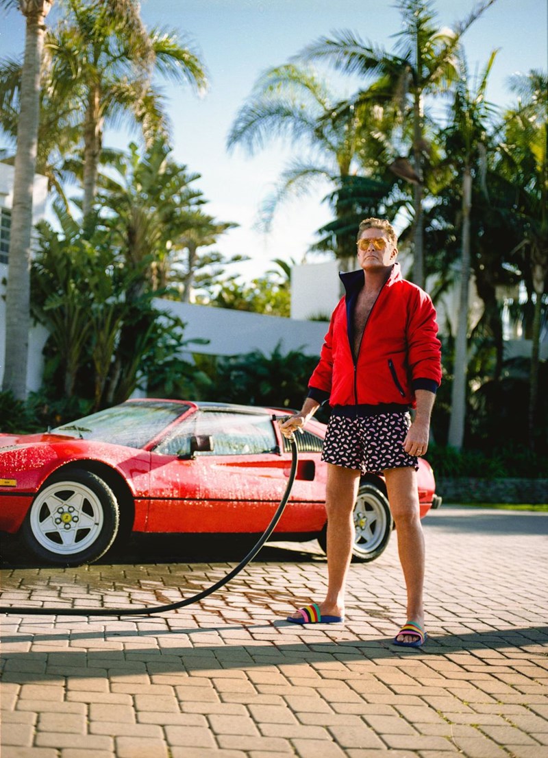 ΝΤΕΪΒΙΝΤ ΧΑΣΕΛΧΟΦ