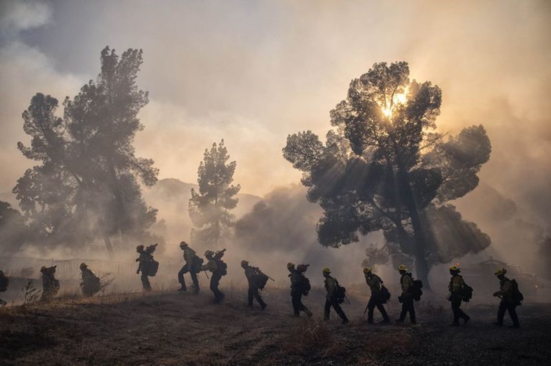 Καλιφόρνια 36