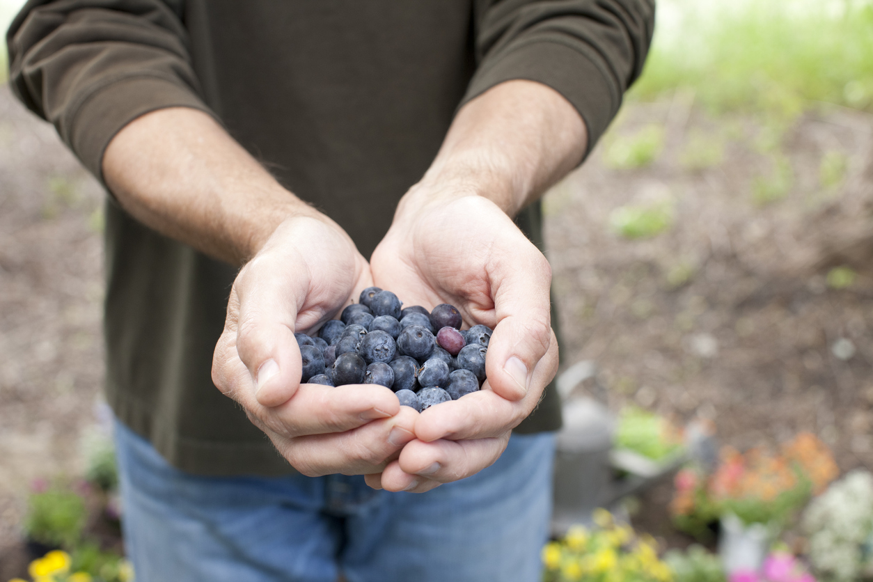 Πώς να ενεργοποιήσεις τον μεταβολισμό σου ώστε να χάσεις βάρος - εικόνα 2