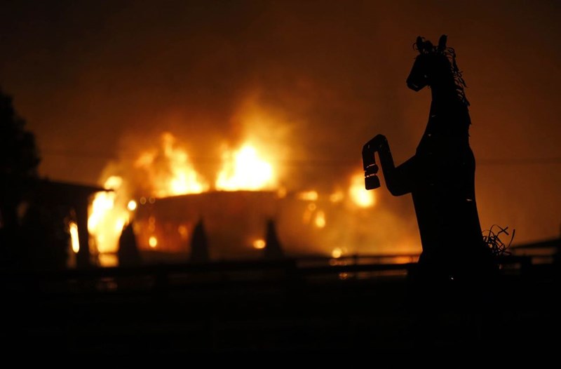 Καλιφόρνια 6