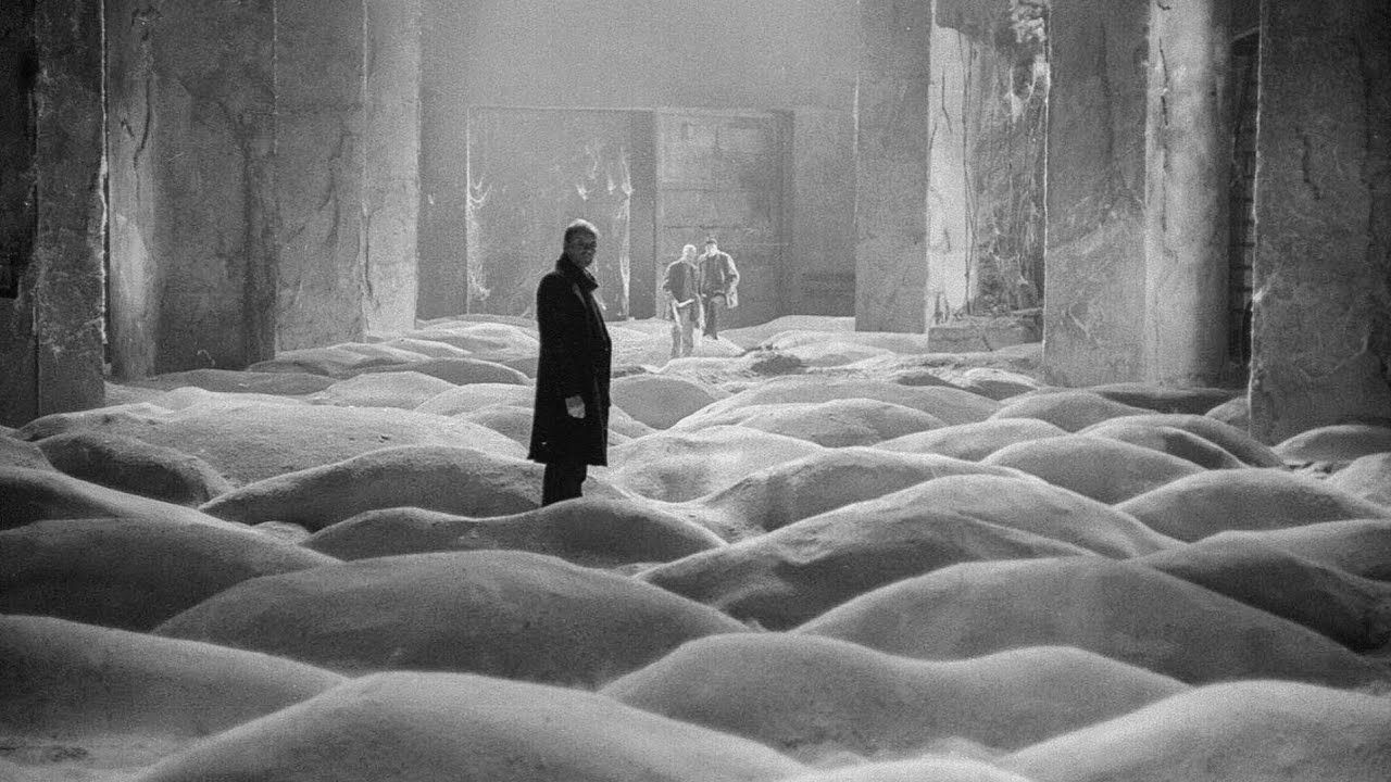 Επιστήμονες βρήκαν το ζώο που θα νικήσει τον καρκίνο - εικόνα 2