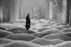 Επιστήμονες βρήκαν το ζώο που θα νικήσει τον καρκίνο - εικόνα 2