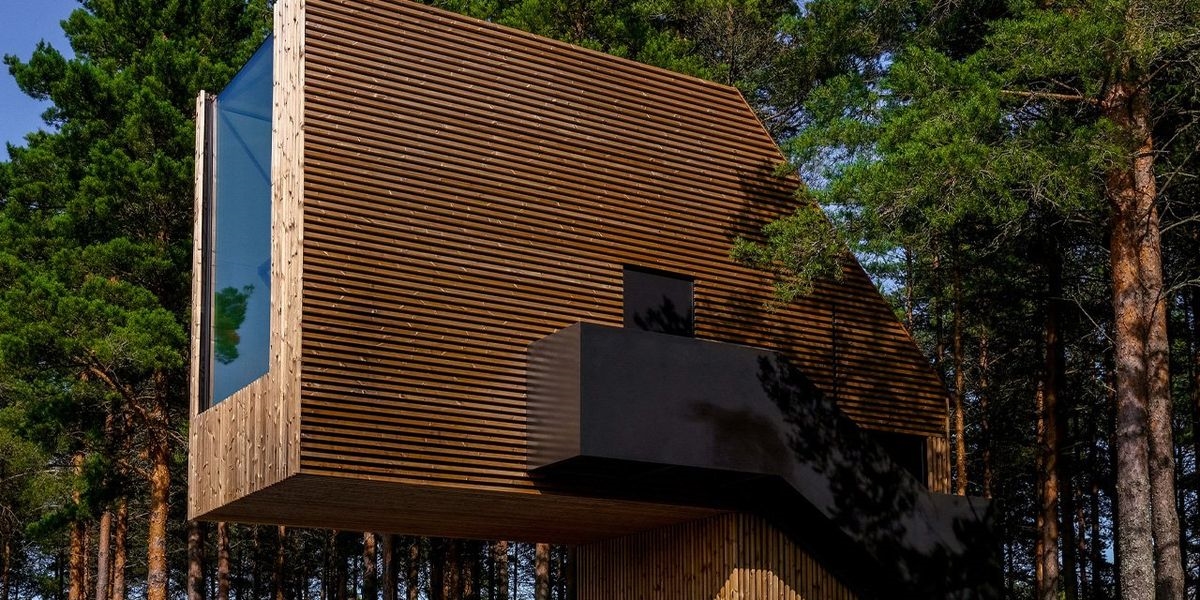 Δηλαδή αυτός ο φοίνικας μπορεί να περπατήσει; - εικόνα 1