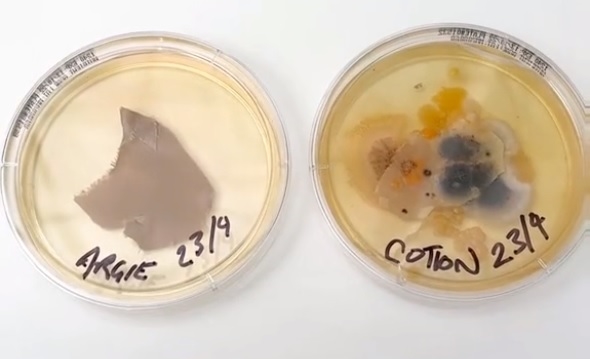 Δωμάτιο ξενοδοχείου vs κάθισμα τουαλέτας, μία πραγματικά βρώμικη σύγκριση - εικόνα 1