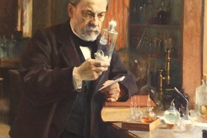 Επιστήμονες θέλουν να μας κάνουν πιο έξυπνους, μελετώντας τον εγκέφαλο του Einstein - εικόνα 2