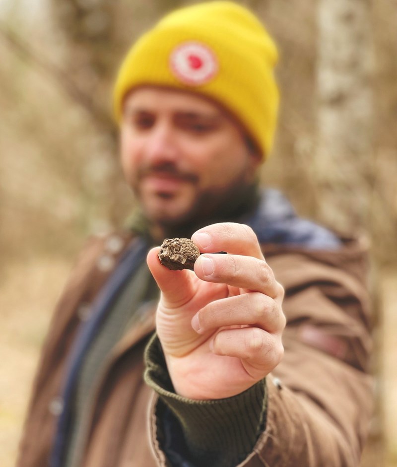 ΚΥΝΗΓΙ ΤΡΟΥΦΑΣ ΣΤΟ ΜΕΤΣΟΒΟ 4