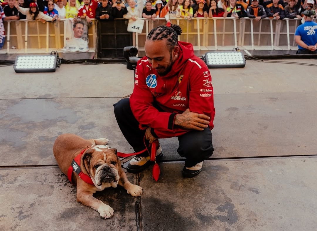 Η Καίτη Φίνου "πέθανε" τη Χρυσούλα Διαβάτη και τσαντίστηκε ο Νικήτας Τσακίρογλου - εικόνα 1