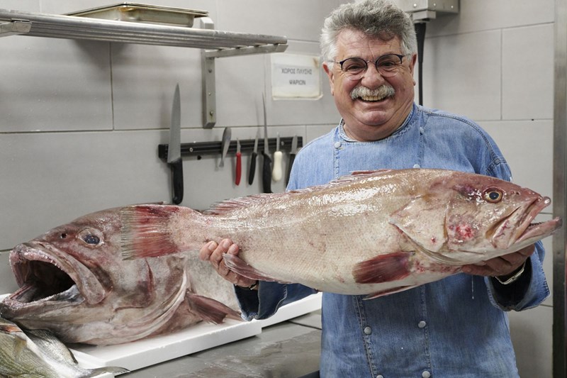 ΨΑΡΙ ΕΣΤΙΑΤΟΡΙΑ ΑΘΗΝΑ ΛΑΖΑΡΟΥ