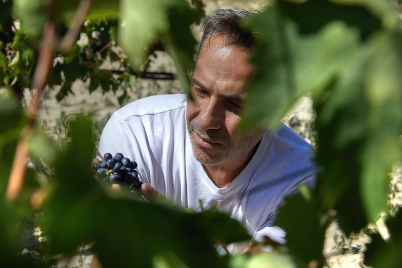 Ο Master of Wine Γιάννης Καρακάσης 1