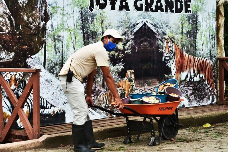 Πώς τα καρτέλ ναρκωτικών εκμεταλλεύονται τον κορονοϊό