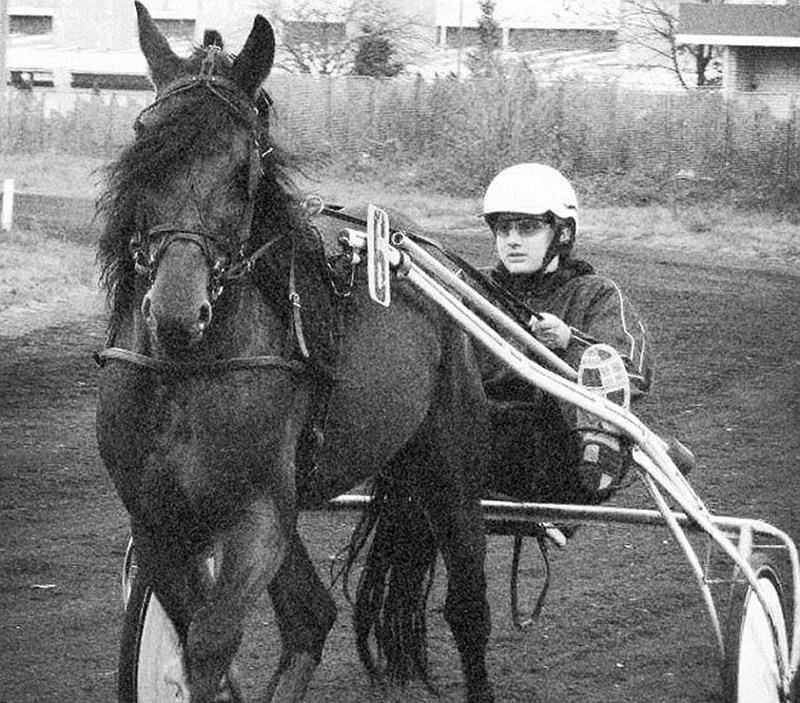 ΓΙΟΚΙΤΣ ΚΑΙ ΑΛΟΓΑ