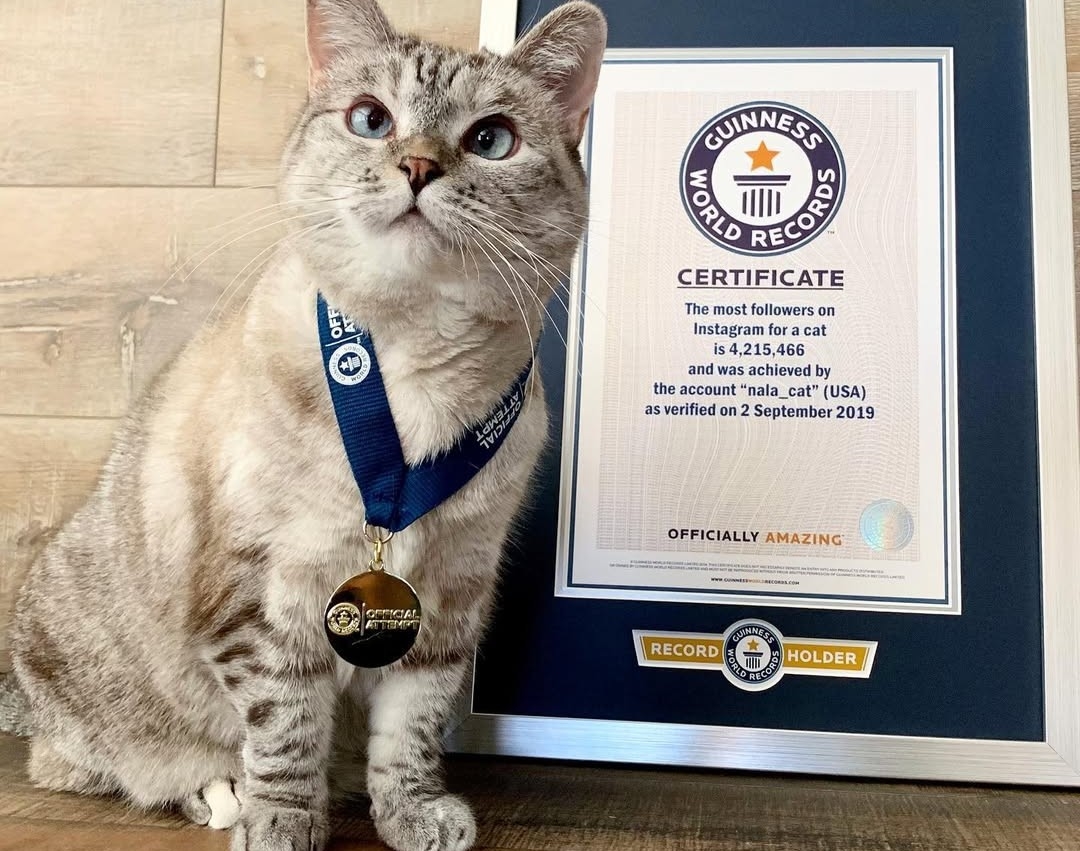 Χωρίς ανάσα για 29 λεπτά και 3 δευτερόλεπτα κάτω απ' το νερό - Ένας δύτης έσπασε όλα τα ρεκόρ - εικόνα 2