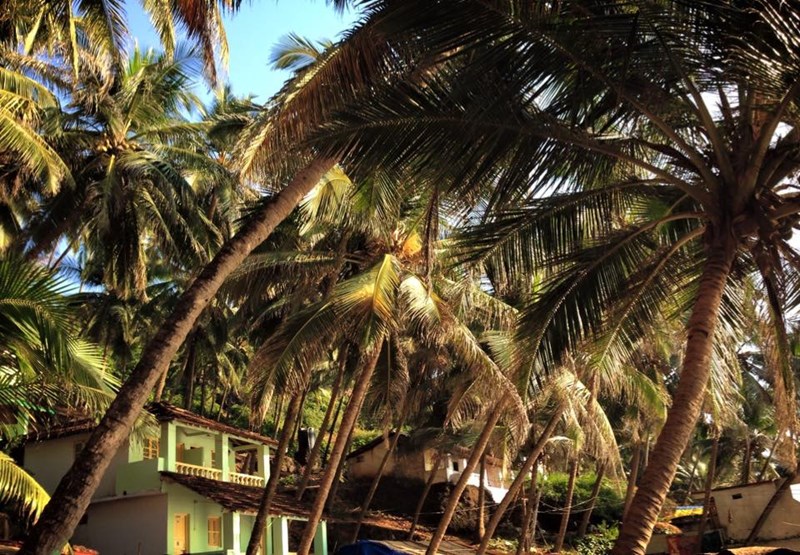 ΠΑΝΑΓΙΩΤΗΣ ΣΩΠΙΑΔΗΣ