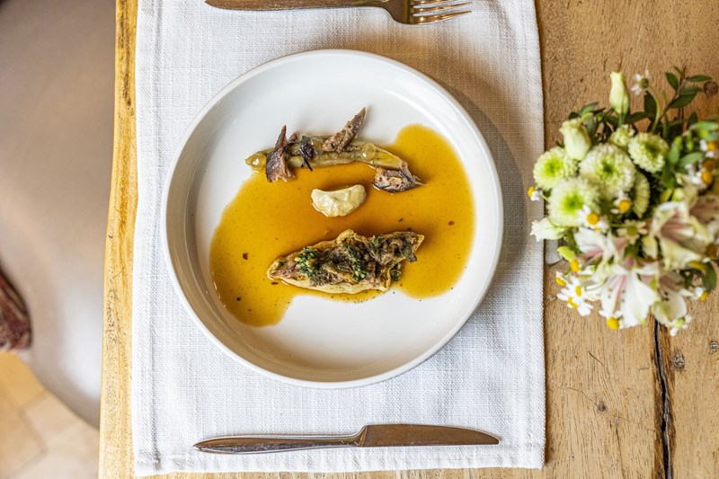 Noble Gourmet @Symposio at Ark 2025