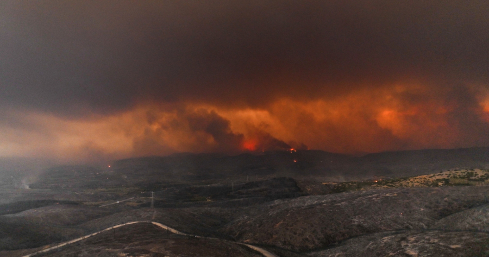 Οι σπάνιοι μαυρόγυπες αναζητούν το σπίτι τους στα καμμένα του Έβρου - εικόνα 1