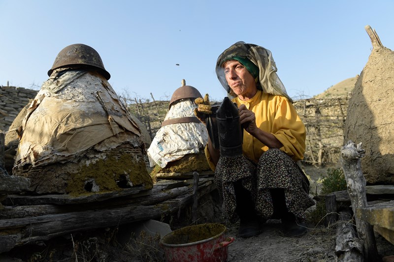 Honeyland ντοκιμαντέρ Βόρεια Μακεδονία
