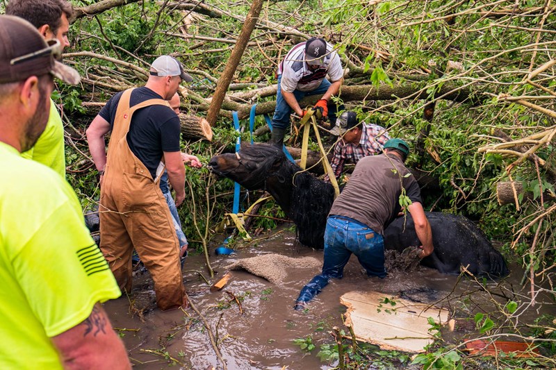 Λίνγουντ Κάνσας ΗΠΑ ανεμοστρόβιλοι 3