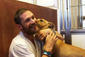 Μία χελώνα ρομπότ οδηγεί με ασφάλεια τα χελωνάκια στον ωκεανό - εικόνα 1