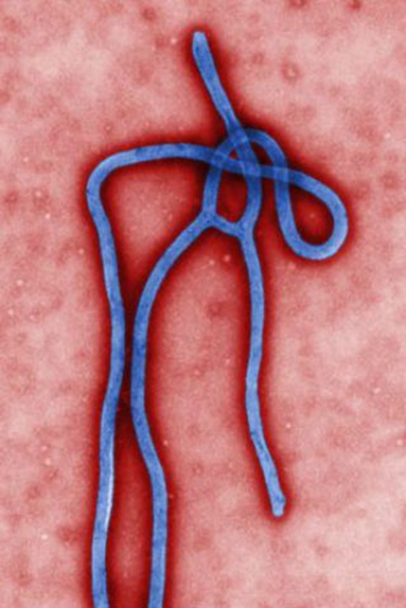 ΕΦΕΥΡΕΣΕΙΣ