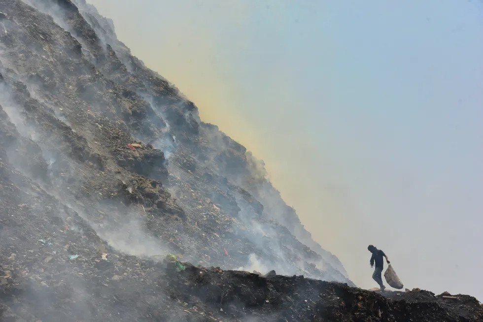 Μία πρωτότυπη λύση για την κλιματική αλλαγή - εικόνα 3