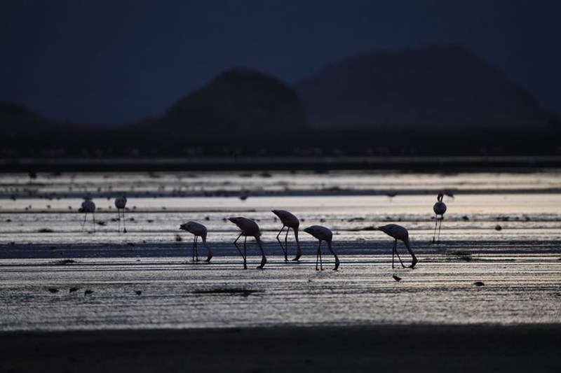 LAKE NATRON
