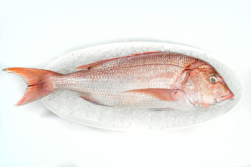 Το εστιατόριο Atelier Papaioannou στη Στοά Σπυρομήλιου 2