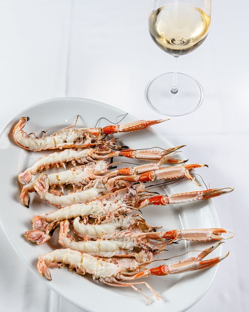 Michael Jordan x Παπαϊωάννου 3